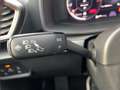 CUPRA Leon Sportstourer 2.0 TSI DSG Navi Link Kamera Weiß - thumbnail 14