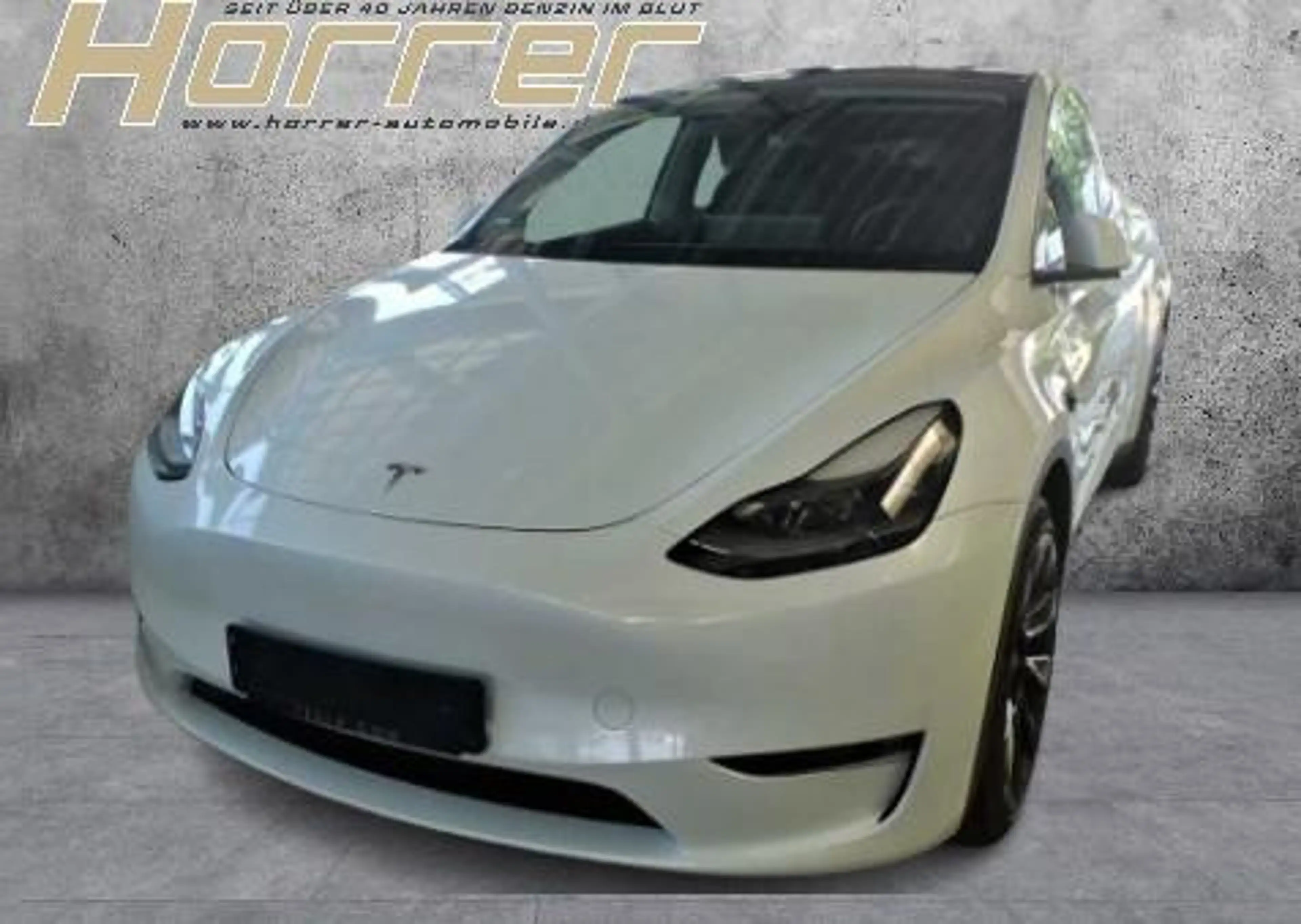 Tesla Model Y Long Range Dual AWD A.Pilot AHK — photo 2