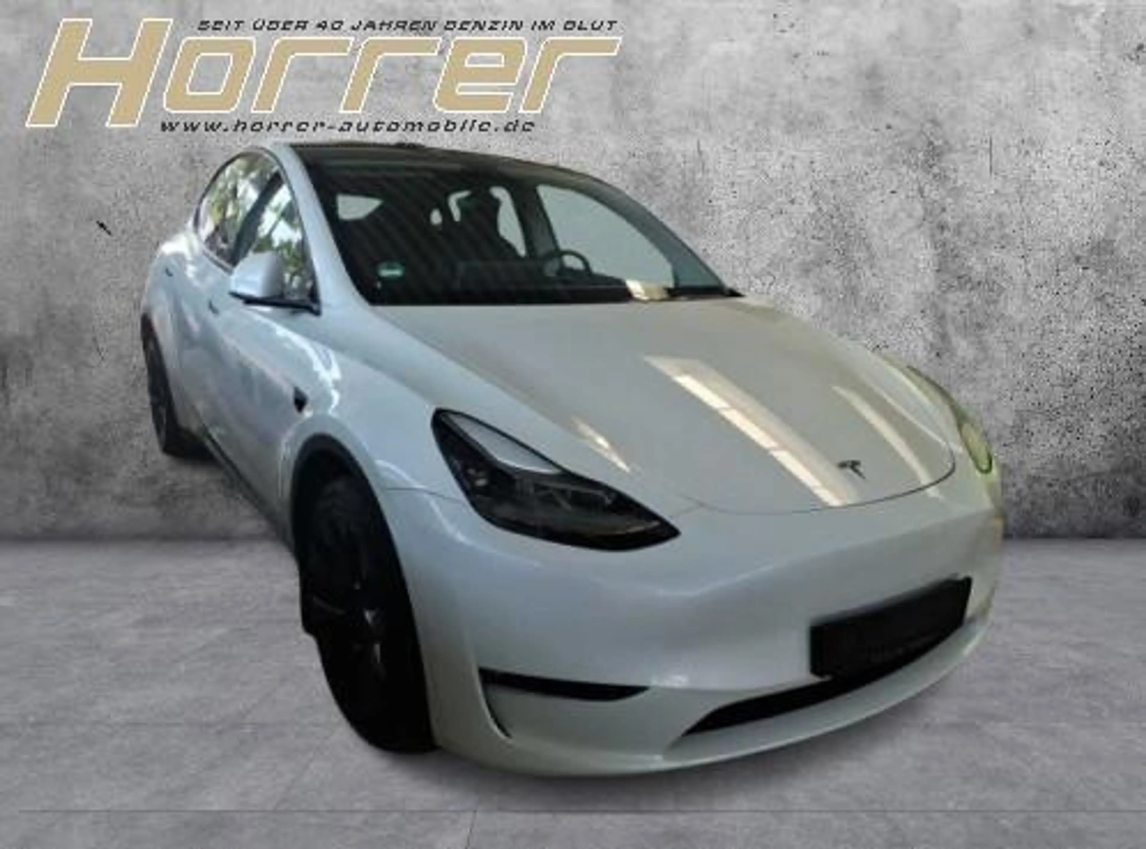 Tesla Model Y Long Range Dual AWD A.Pilot AHK