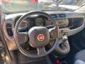 Fiat Panda Panda III 1.0 firefly hybrid PREZZO REALE Grau - thumbnail 8