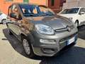 Fiat Panda Panda III 1.0 firefly hybrid PREZZO REALE Grau - thumbnail 1
