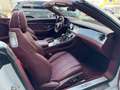 Bentley Continental GT Cabrio Speed *FIRST EDITION 100 JAHRE* Weiß - thumbnail 17