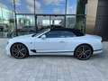 Bentley Continental GT Cabrio Speed *FIRST EDITION 100 JAHRE* Weiß - thumbnail 5