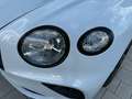 Bentley Continental GT Cabrio Speed *FIRST EDITION 100 JAHRE* Weiß - thumbnail 8