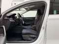 Skoda Octavia Combi 2,0 TDI Style DSG. LED/ACC/Navi/el.AHK/RF... Weiß - thumbnail 6