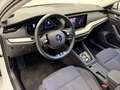 Skoda Octavia Combi 2,0 TDI Style DSG. LED/ACC/Navi/el.AHK/RF... Weiß - thumbnail 10