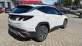 Hyundai TUCSON Trend Hybrid 4WD*Kamera*Tempomat*SHZ*Navi Weiß - thumbnail 4