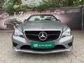 Mercedes-Benz Sonstige E-Klasse E220 CDI Grau - thumbnail 2