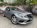 Mercedes-Benz Sonstige E-Klasse E220 CDI Grau - thumbnail 11