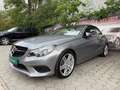 Mercedes-Benz Sonstige E-Klasse E220 CDI Grau - thumbnail 14