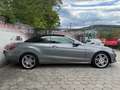Mercedes-Benz Sonstige E-Klasse E220 CDI Grau - thumbnail 19
