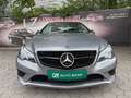 Mercedes-Benz Sonstige E-Klasse E220 CDI Grau - thumbnail 12