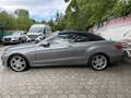 Mercedes-Benz Sonstige E-Klasse E220 CDI Grau - thumbnail 15