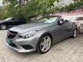 Mercedes-Benz Sonstige E-Klasse E220 CDI Grau - thumbnail 4