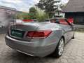 Mercedes-Benz Sonstige E-Klasse E220 CDI Grau - thumbnail 8