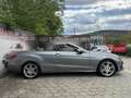 Mercedes-Benz Sonstige E-Klasse E220 CDI Grau - thumbnail 9