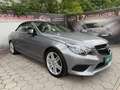 Mercedes-Benz Sonstige E-Klasse E220 CDI Grau - thumbnail 20