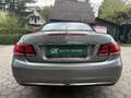 Mercedes-Benz Sonstige E-Klasse E220 CDI Grau - thumbnail 17