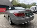 Mercedes-Benz Sonstige E-Klasse E220 CDI Grau - thumbnail 16