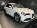 Alfa Romeo Stelvio 2.2 Turbodiesel 190 CV AT8 Q4 Sprint Bianco - thumbnail 2