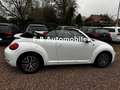 Volkswagen Beetle Cabriolet Sound BMT/Start-Stopp/TOP! Weiß - thumbnail 8