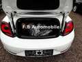 Volkswagen Beetle Cabriolet Sound BMT/Start-Stopp/TOP! Weiß - thumbnail 17
