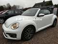 Volkswagen Beetle Cabriolet Sound BMT/Start-Stopp/TOP! Weiß - thumbnail 2
