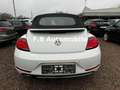 Volkswagen Beetle Cabriolet Sound BMT/Start-Stopp/TOP! Weiß - thumbnail 6
