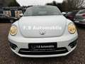 Volkswagen Beetle Cabriolet Sound BMT/Start-Stopp/TOP! Weiß - thumbnail 3