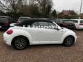 Volkswagen Beetle Cabriolet Sound BMT/Start-Stopp/TOP! Weiß - thumbnail 7