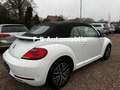 Volkswagen Beetle Cabriolet Sound BMT/Start-Stopp/TOP! Weiß - thumbnail 5