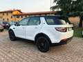 Land Rover Discovery Sport Discovery Sport 2.0 TD4 180 CV HSE Luxury Weiß - thumbnail 8