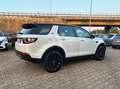 Land Rover Discovery Sport Discovery Sport 2.0 TD4 180 CV HSE Luxury Weiß - thumbnail 5