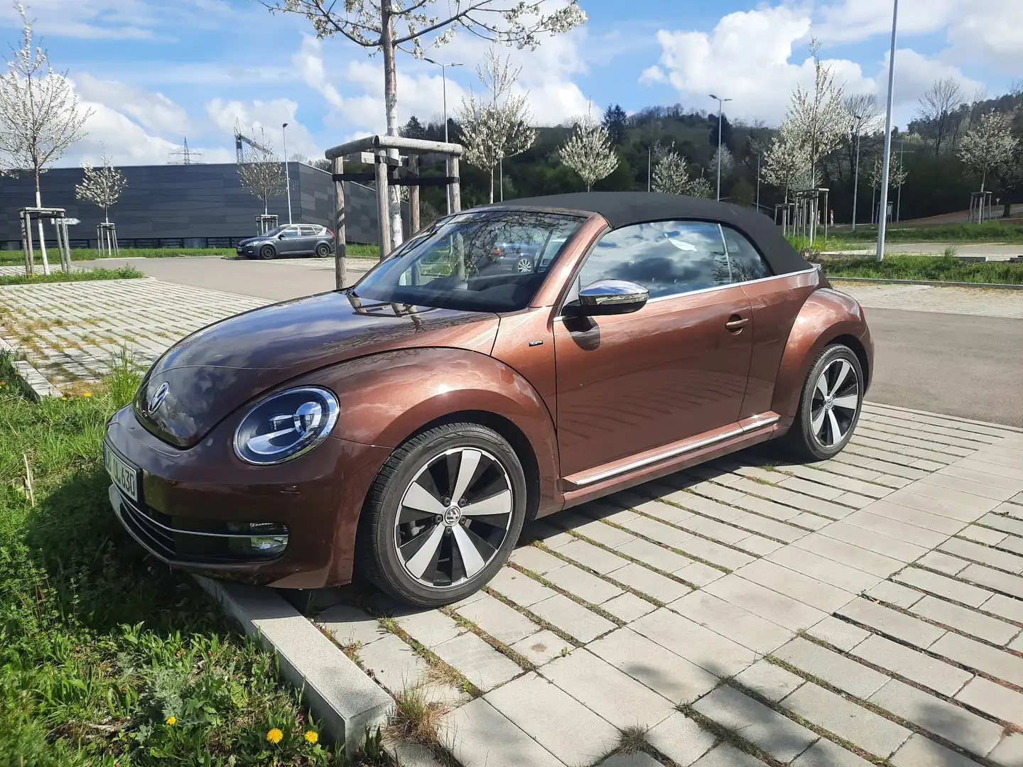 Volkswagen Beetle The Cabriolet 1.2TSI BlueMotion Technology Allstar - 2
