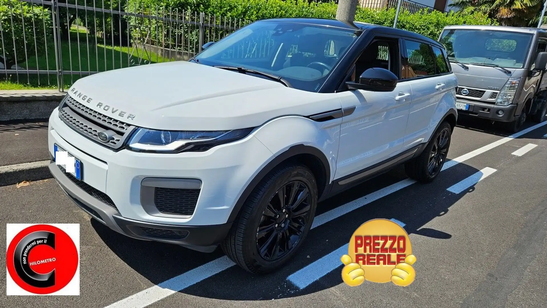 Land Rover Range Rover Evoque Range Rover Evoque 5p 2.0 td4 SE 150cv Weiß - 1
