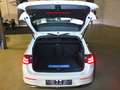 Volkswagen Golf VIII 1.5 TSI OPF Style eSAD ACC DAB LM17 Weiß - thumbnail 7