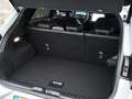 Ford Puma ST-Line X 1.0 EcoBoost Hybrid 155pk Automaat WINTE Gris - thumbnail 12