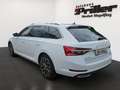 Skoda Superb Combi 2.0 TDI DSG L&K 4x4/LED/ACC/PGSD/ Weiß - thumbnail 4