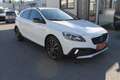 Volvo V40 Cross Country MOMENTUM*AHV*** Weiß - thumbnail 3