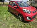 Kia Picanto 1.0i Sense ISG!!problème moteur - thumbnail 5