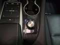 Lexus NX 300h 450h+ Executive 4WD Plateado - thumbnail 26
