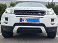 Land Rover Range Rover Evoque Range Rover Evoque Pure 2,2 TD4 Pure Weiß - thumbnail 1