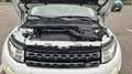 Land Rover Range Rover Evoque Range Rover Evoque Pure 2,2 TD4 Pure Weiß - thumbnail 7