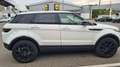Land Rover Range Rover Evoque Range Rover Evoque Pure 2,2 TD4 Pure Weiß - thumbnail 4