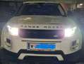 Land Rover Range Rover Evoque Range Rover Evoque Pure 2,2 TD4 Pure Weiß - thumbnail 14