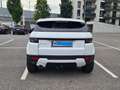 Land Rover Range Rover Evoque Range Rover Evoque Pure 2,2 TD4 Pure Weiß - thumbnail 5