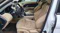 Land Rover Range Rover Evoque Range Rover Evoque Pure 2,2 TD4 Pure Weiß - thumbnail 10