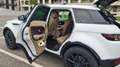 Land Rover Range Rover Evoque Range Rover Evoque Pure 2,2 TD4 Pure Weiß - thumbnail 9