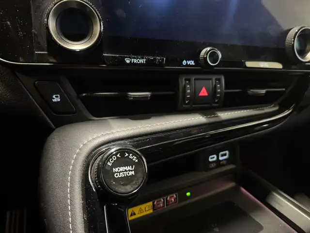 Lexus NX view 13