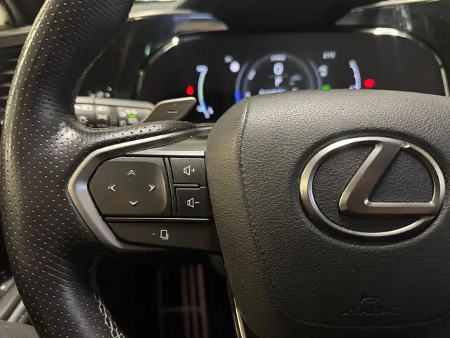 Lexus NX view 10